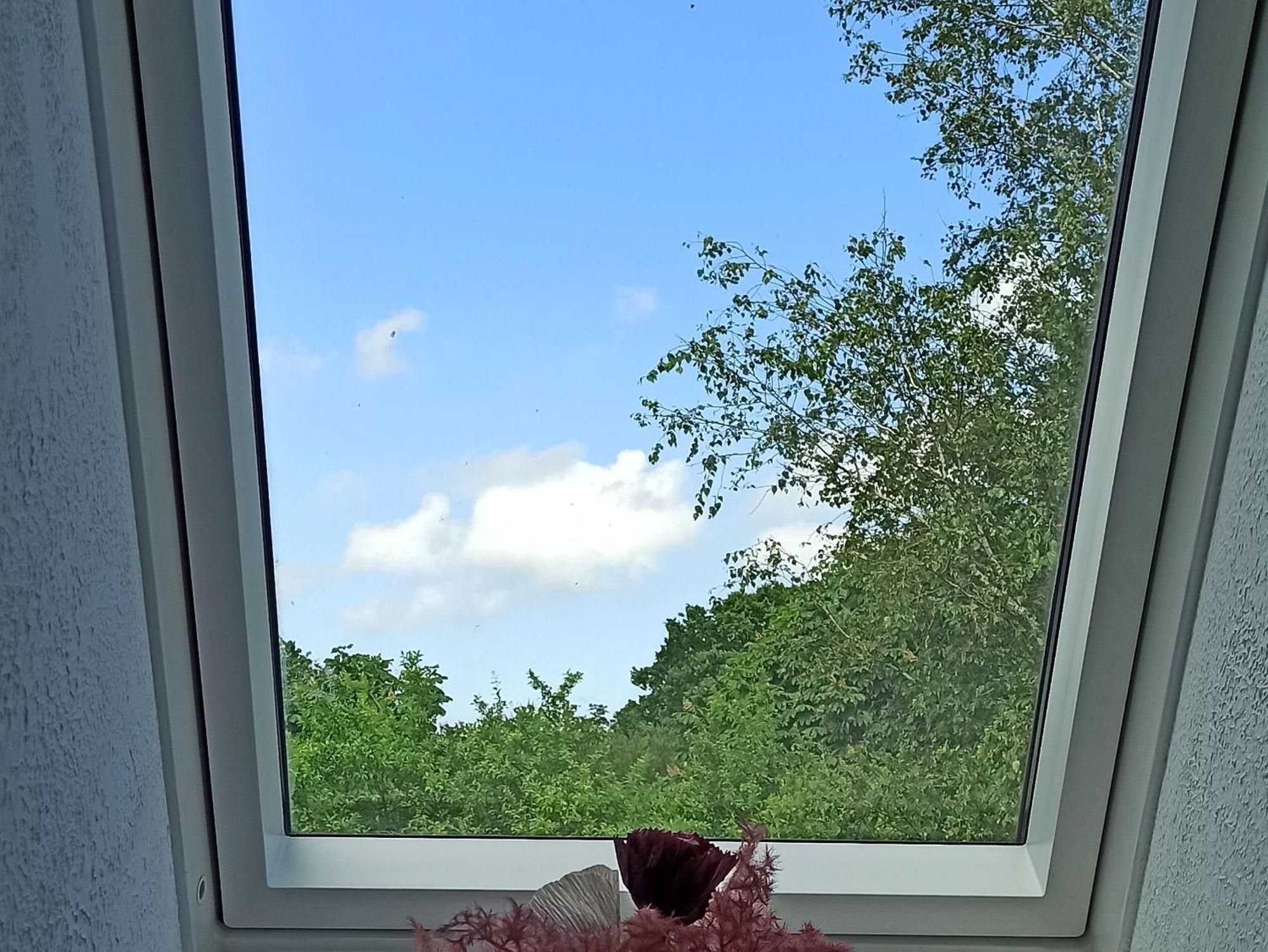 Ferienwohnung Kleiner Und Grosser Stern Stoltebüll Buitenkant foto