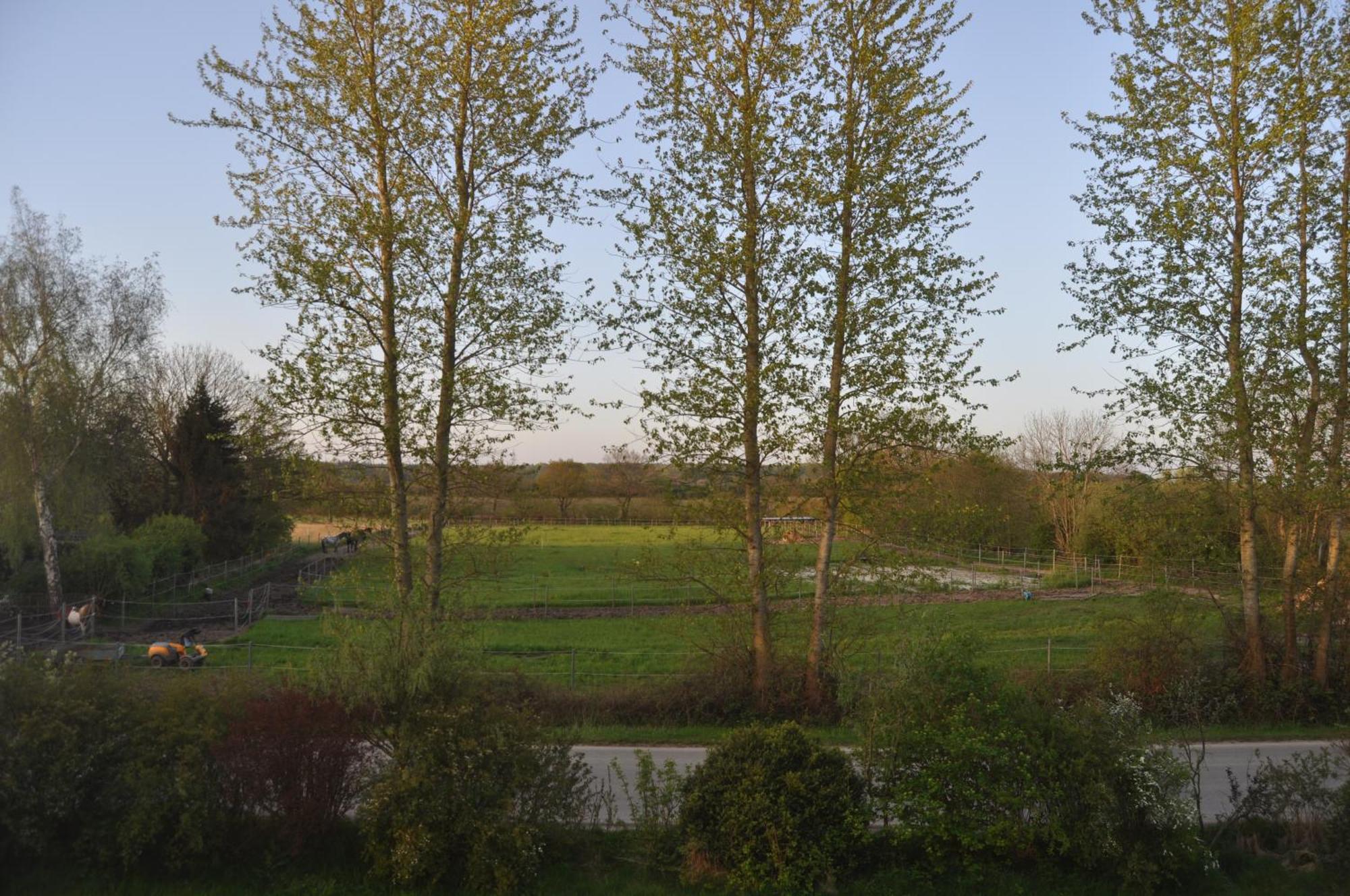 Ferienwohnung Kleiner Und Grosser Stern Stoltebüll Buitenkant foto